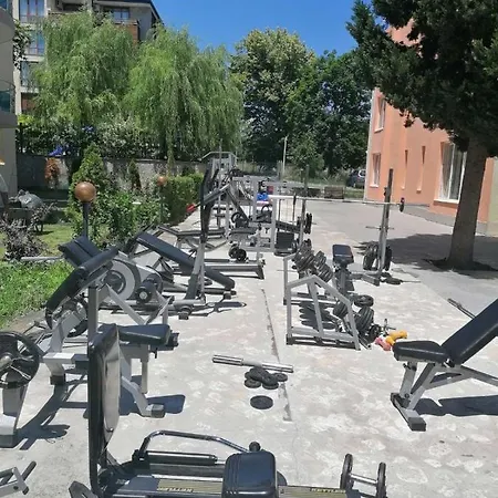 Dadi Oazis Равда